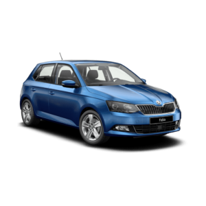 Выкуп кузова Skoda Skoda Fabia